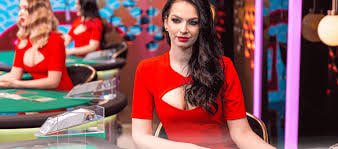 ceo99